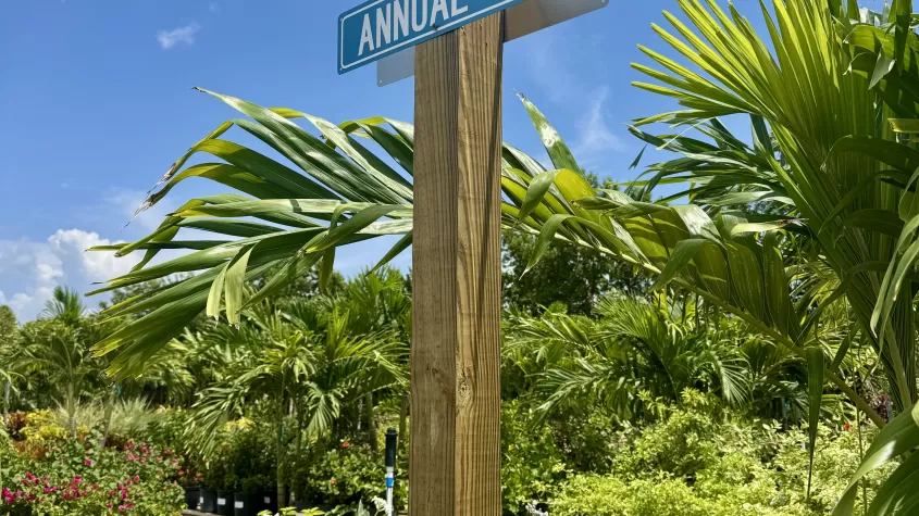 Annual Ave