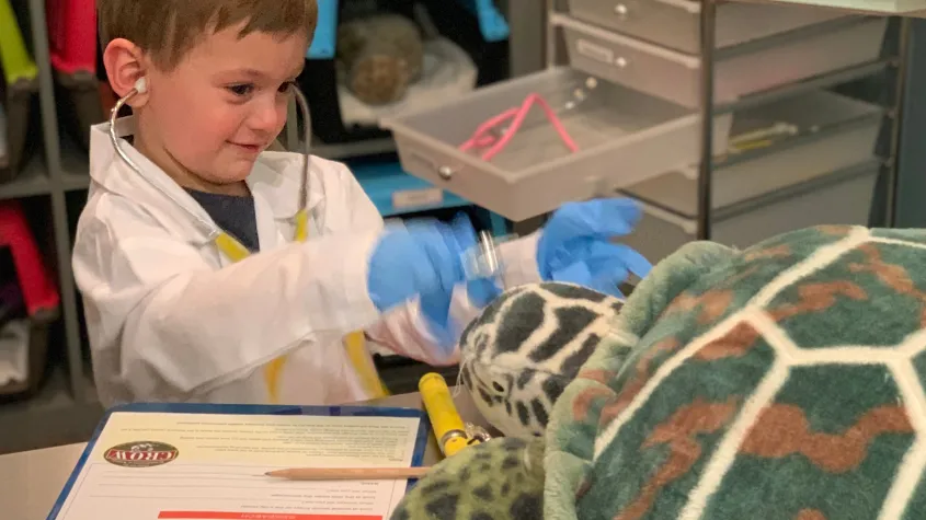A boy playing the vet science area at CROW