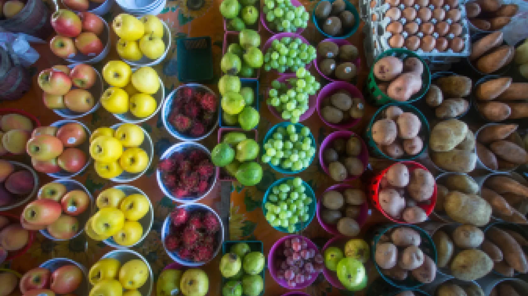 Farmer's Market