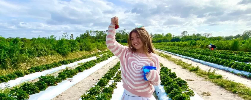 Farmer Mikes Solo Travel Attraction Outdoor Strawberry Picking